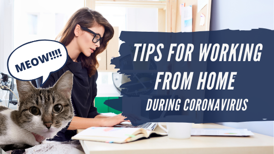 Tips for Working From Home